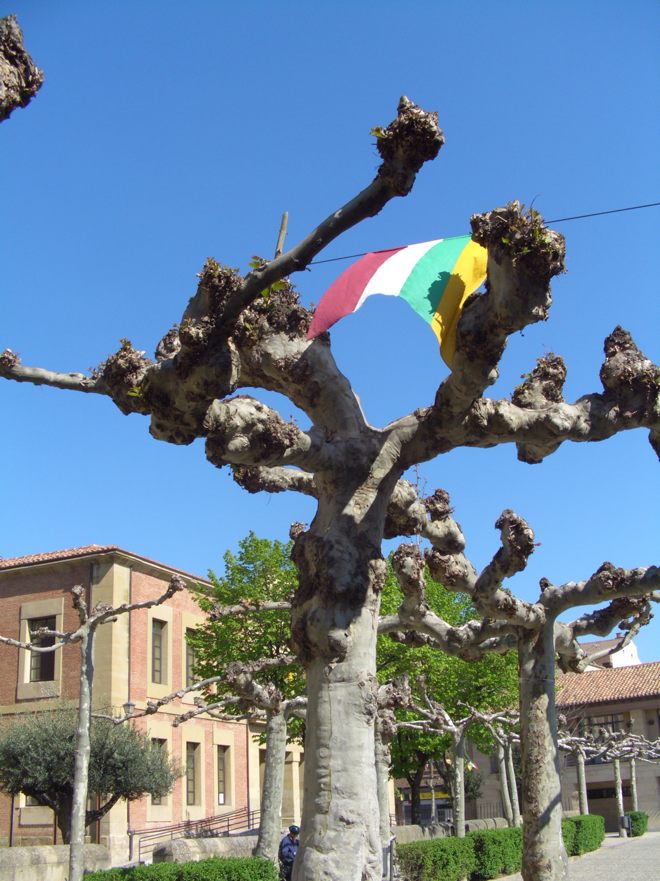 Santo Domingo de la Calzada