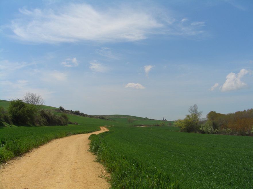 CIMG0737