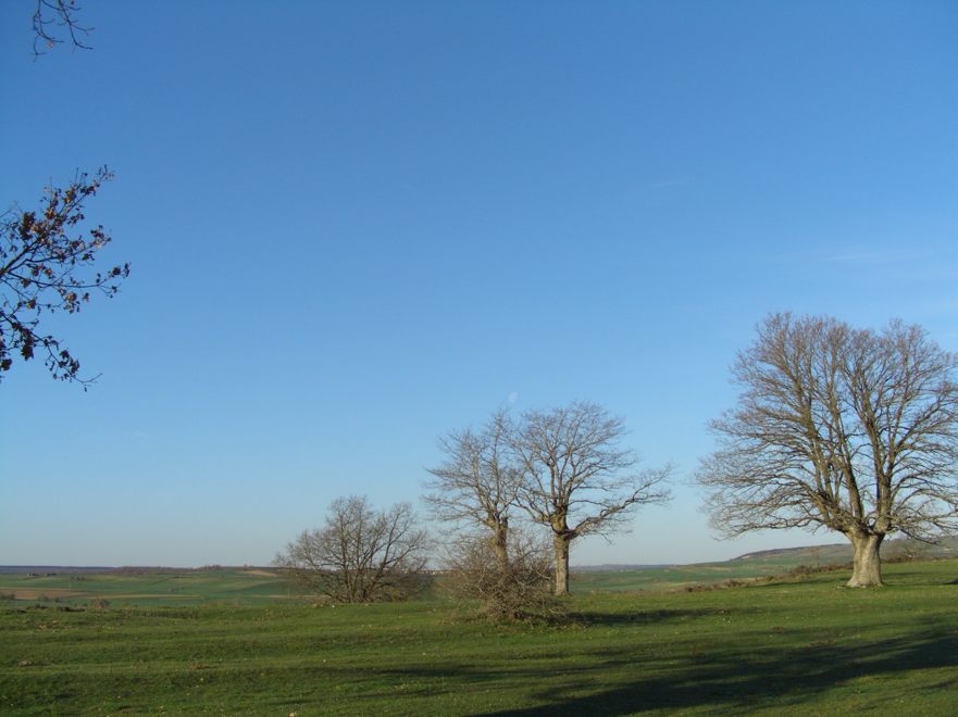 CIMG0773