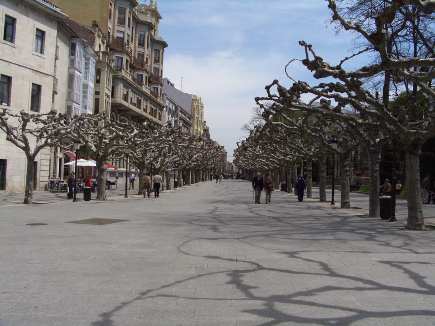 Platanenallee