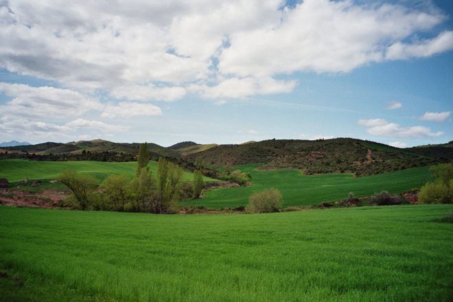 imm022 23