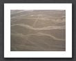 Nazcalines5